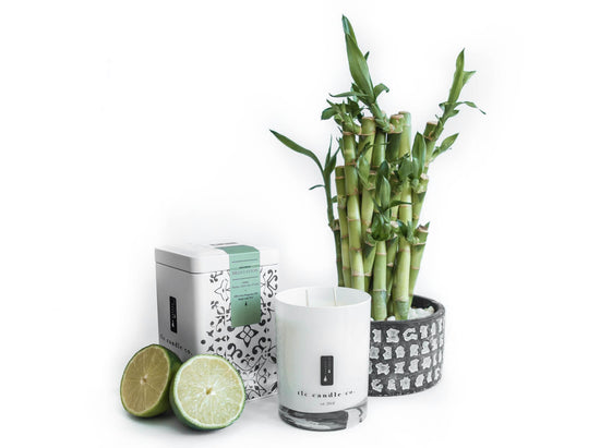 Meditation - Bamboo, Amber and Aloe Soy Candle